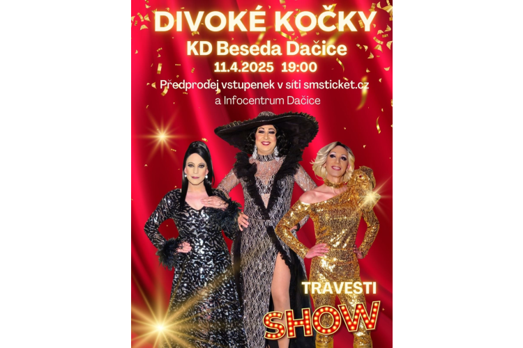 Divoké kočky