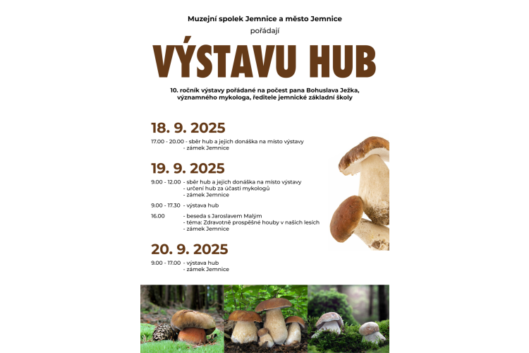 Výstava hub