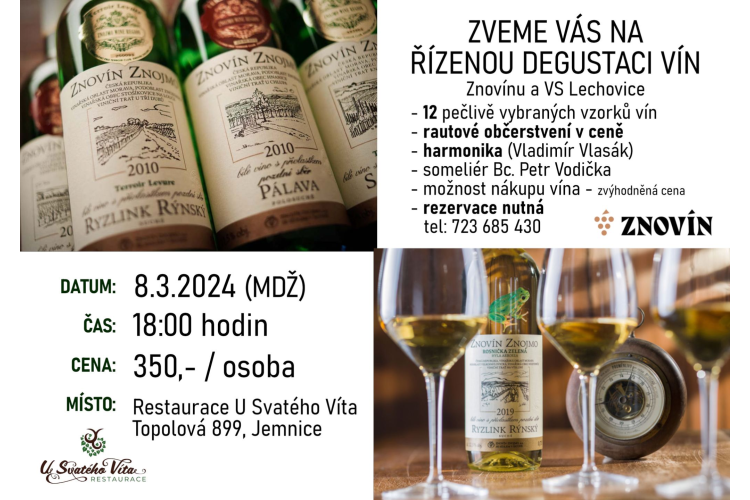 Řízená degustace vína + harmonika