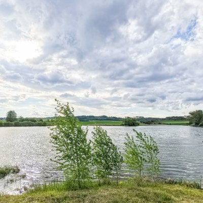 image-202